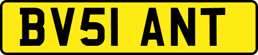 BV51ANT