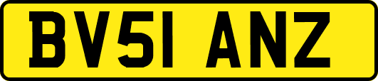 BV51ANZ