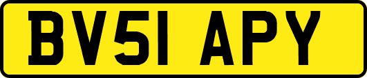 BV51APY