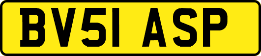 BV51ASP