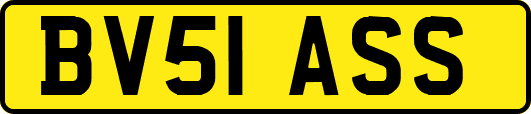 BV51ASS
