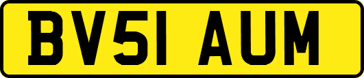 BV51AUM
