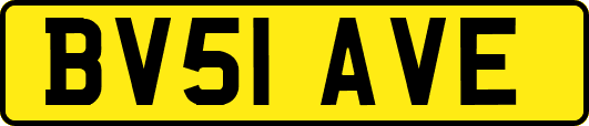 BV51AVE