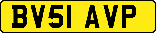 BV51AVP