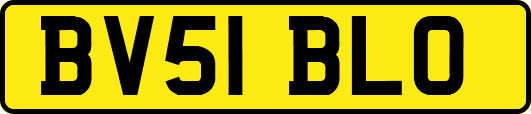 BV51BLO