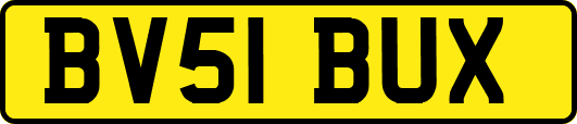 BV51BUX