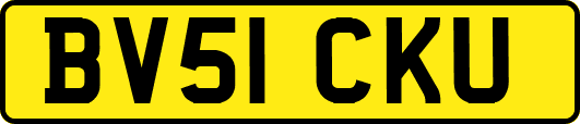 BV51CKU