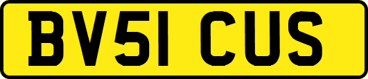 BV51CUS