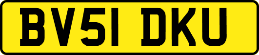 BV51DKU