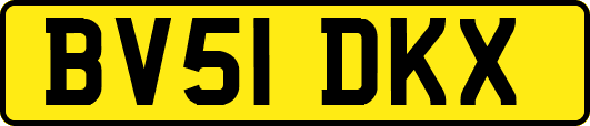 BV51DKX