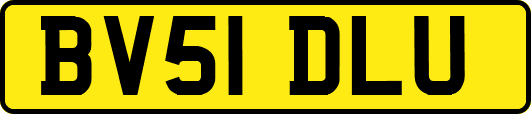 BV51DLU