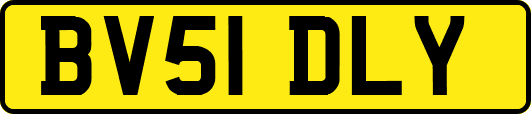 BV51DLY