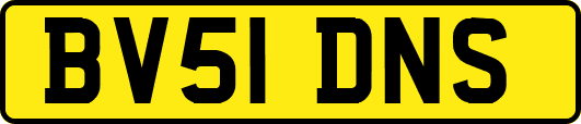 BV51DNS