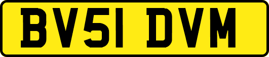 BV51DVM