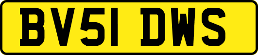 BV51DWS