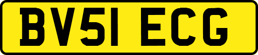 BV51ECG
