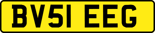 BV51EEG