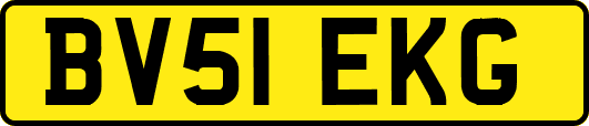 BV51EKG