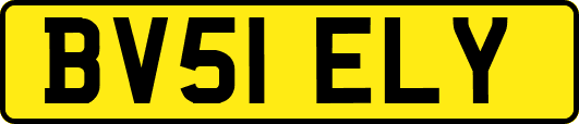 BV51ELY