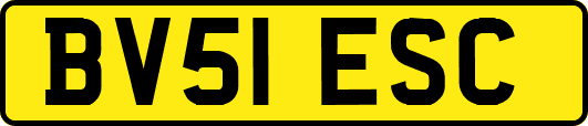 BV51ESC