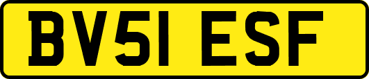 BV51ESF