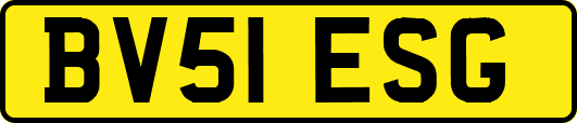 BV51ESG