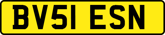 BV51ESN