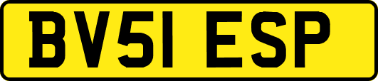 BV51ESP