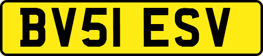 BV51ESV