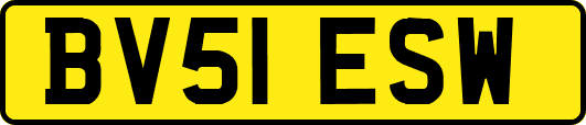 BV51ESW