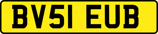 BV51EUB