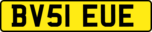 BV51EUE