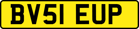BV51EUP