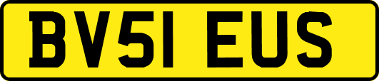 BV51EUS