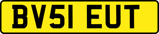 BV51EUT