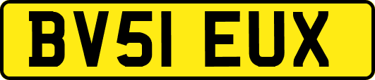 BV51EUX