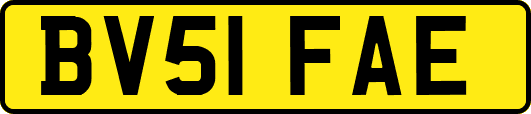 BV51FAE