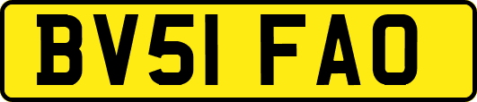 BV51FAO