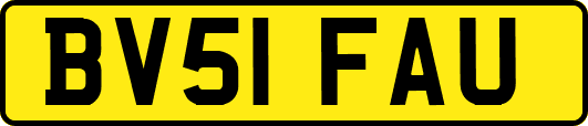 BV51FAU