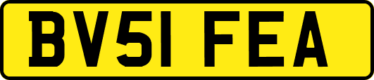 BV51FEA