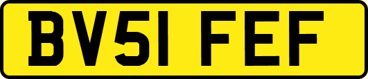 BV51FEF