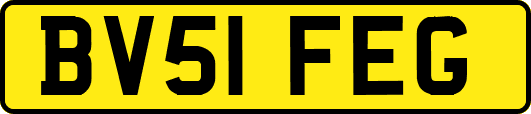 BV51FEG