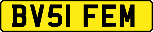 BV51FEM