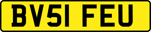 BV51FEU