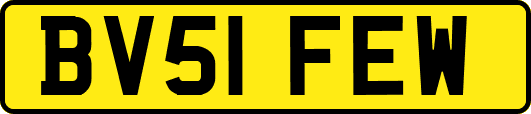 BV51FEW