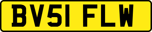 BV51FLW