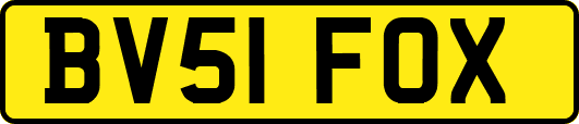 BV51FOX
