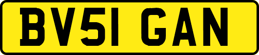 BV51GAN