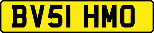 BV51HMO