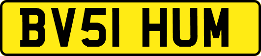 BV51HUM